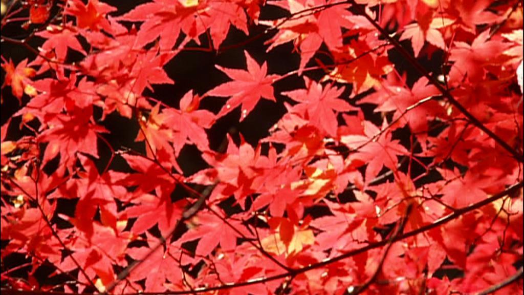 Dormy Inn Kurashiki Natural Hot Spring Екстериор снимка